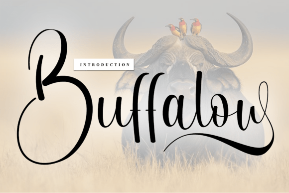 Buffalow: The Handwritten Font That Elevates Design